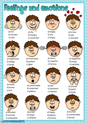Feelings and emotions - quiz