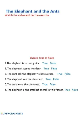 The Elephant and the ants