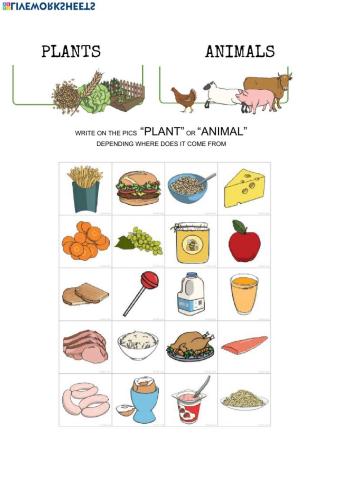 Where does food come from?