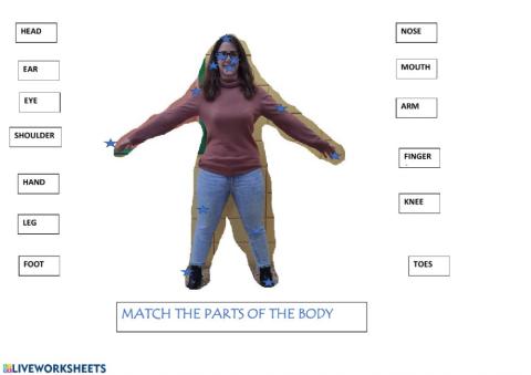Body parts