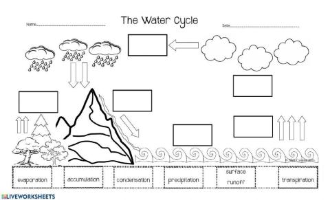 The Water Cycle - Assessment 1