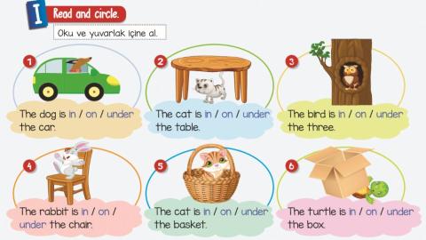 Preposition tick