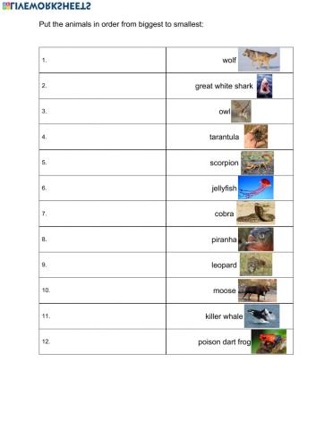 Dangerous Animals A2