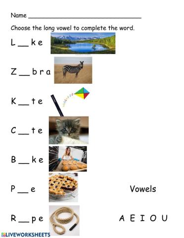 Long vowel practice