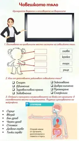 Човешкото тяло