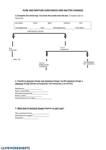 Pure and mixture substances and matter changes