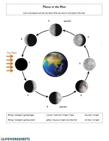 Phases of the Moon