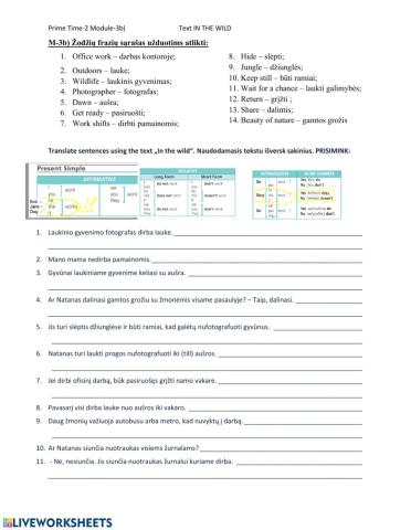 Prime Time-1 Module-3b