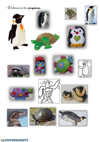 Selecciona los PINGÜINOS