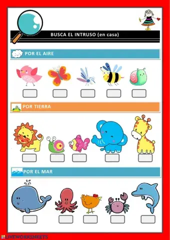 Busca el intruso (animales)