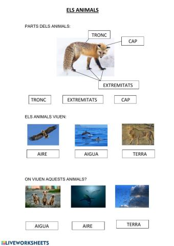 Recorda animals vertebrats