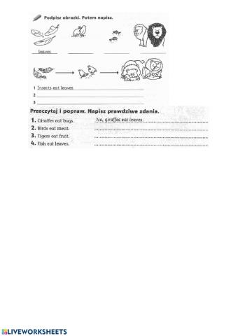 NEA 3 Lions eat meat