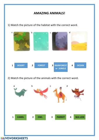 Amazing Animals! habitats - can-can't