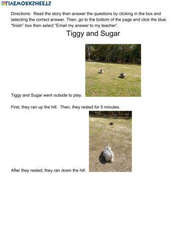 Tiggy and Sugar