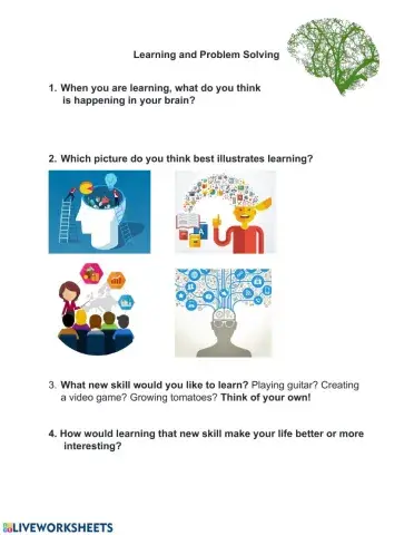 Learning and Problem Solving