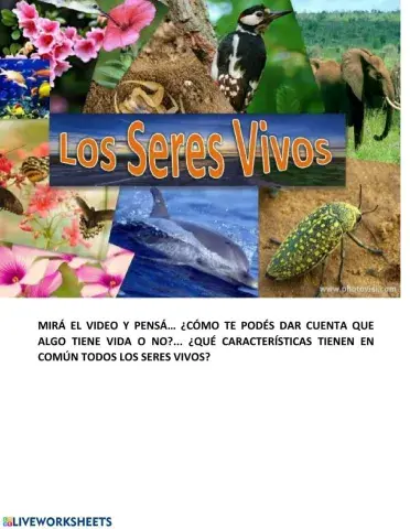 Características de los seres vivos