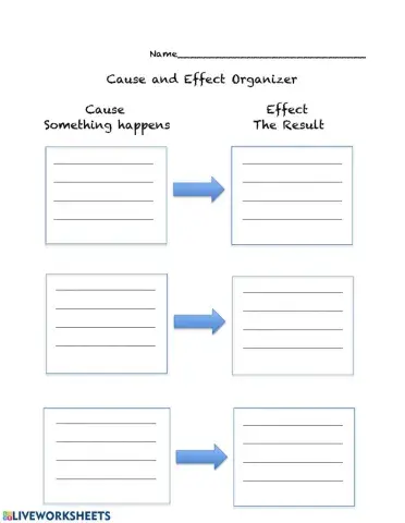 Cause Effect Organizer