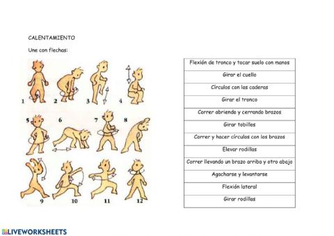 Calentamiento y estiramientos