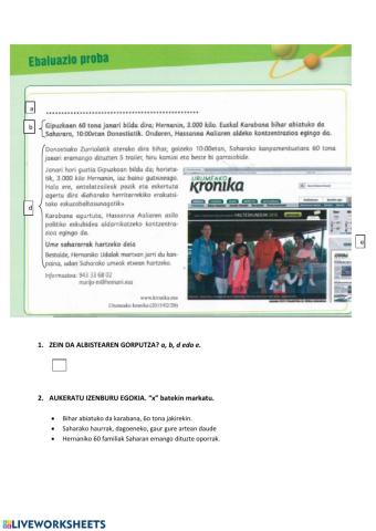 Euskera ebaluazio fitxa