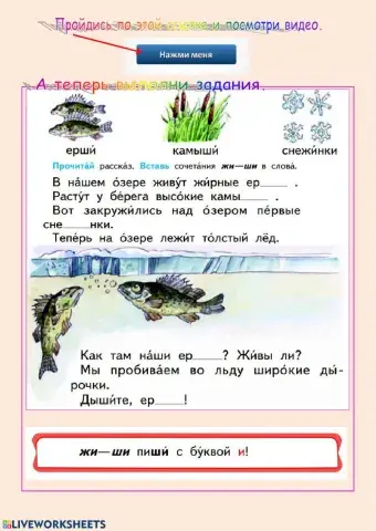 Правописание ЖИ, ШИ