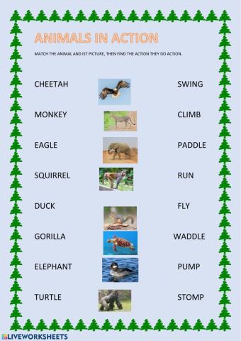 Animals in action