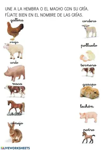 Animales y sus crías.