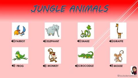 Jungle animals Listen