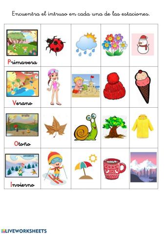Intruso estaciones del año