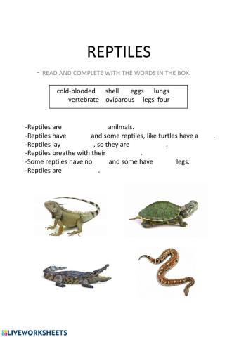 Reptiles