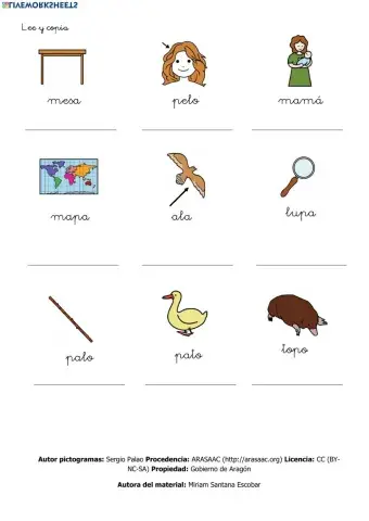 Lectoescritura p m l s t