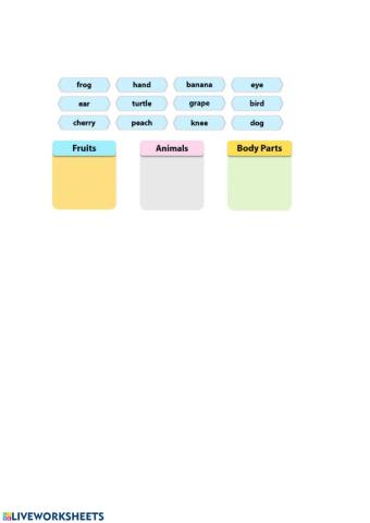 Body Animals Fruits