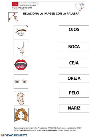RELACIONA. PARTES DE LA CARA.LECTOESCRITURA