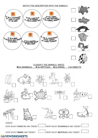 Animals classification