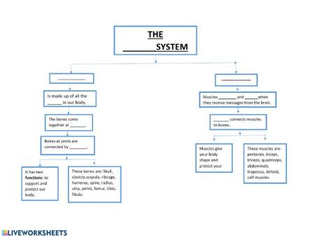 Unit 2 Locomotor system-Complete the scheme