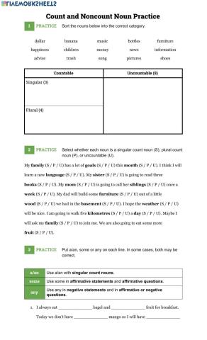 Count and Noncount Nouns Practice