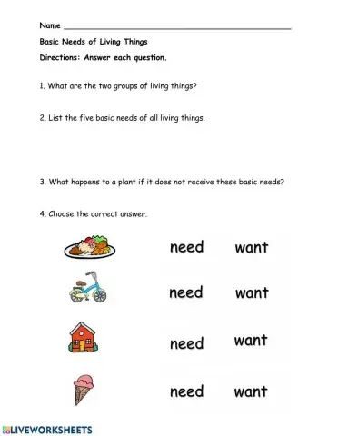 Basic needs of living things