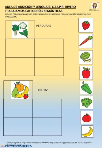 Clasificamos frutas y verduras