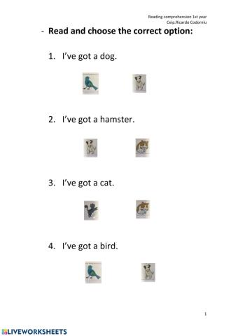 Reading comprehension animals