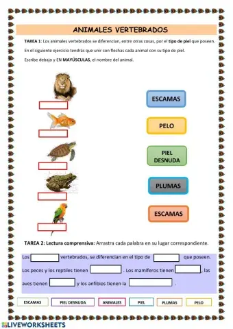 Animales vertebrados