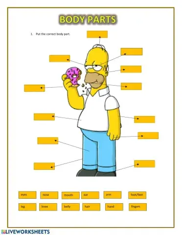 Body parts