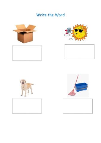 Write the Word - middle sound o