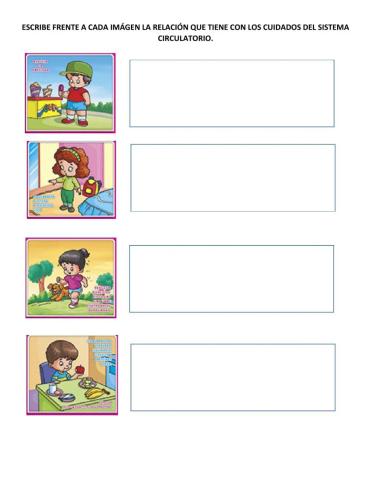 Cuidados sistema circulatotro