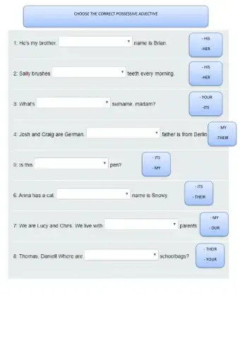 Possessive adjetives