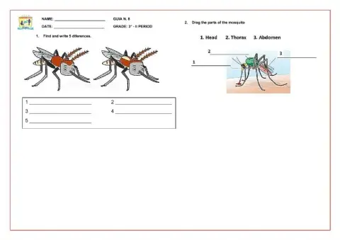 Common diseases Zika Exercise