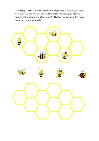 Κάθε μέλισσα στο κελί της