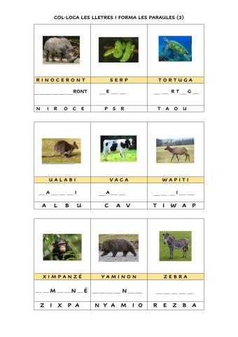 Animals ordenar lletres 3 amb suport visual