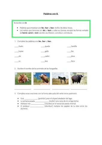 Palabras con b