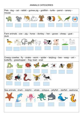 Animal categories and plural