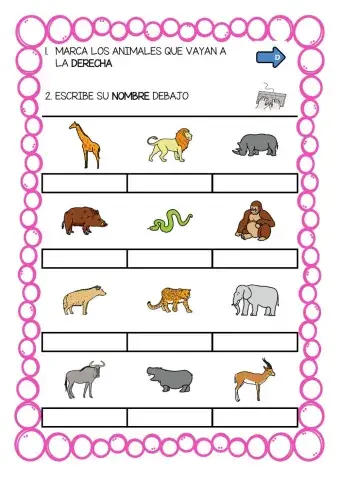Lateralidad-derecha-5