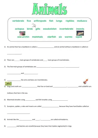 Vertebrates and invertebrates